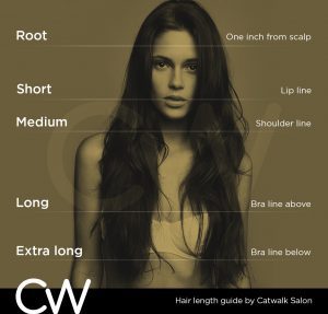 Hair Length Guide Catwalk Salon Gladesville Australia
